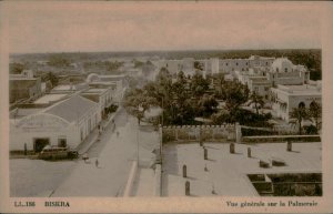 B577 Algeria Biskra vue generale sur la Palmeraie