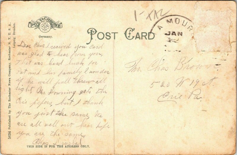 Echo Cliffs Canon Grand River Antique Germany DB Postcard PM WOB Note