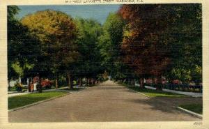 Lafayette Street Marianna FL Unused