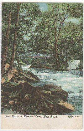 The Falls Bronx Park New York -vintage-