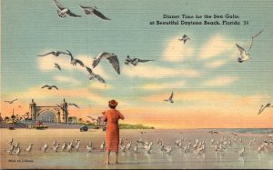 Florida Daytona Beach Dinner Time For The Sea Gulls