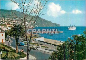 Modern Postcard Funchal (Madeira) Eastern View