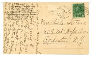 Greeting - Birthday      (Dressed Dogs)