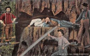 Logging Washington Lumberjacks Antique Postcard J39530