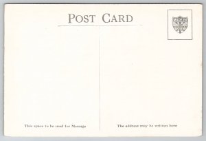 Birds Grey Cheeked Thrush and Olive Backed Thrush Postcard G24