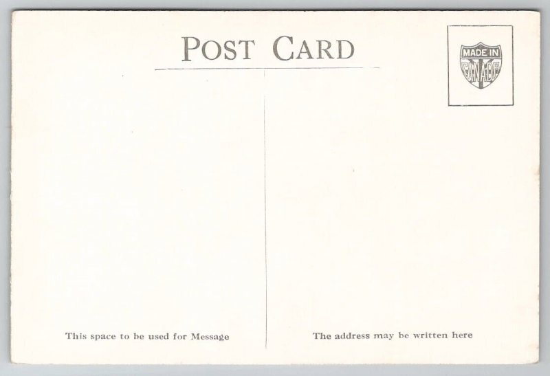 Birds Grey Cheeked Thrush and Olive Backed Thrush Postcard G24