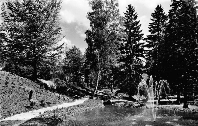 BG15216 bad sachsa sudharz im kurpark  germany CPSM 14x9cm