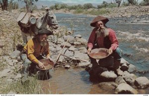 Miners panning for gold , USA , 50-60s