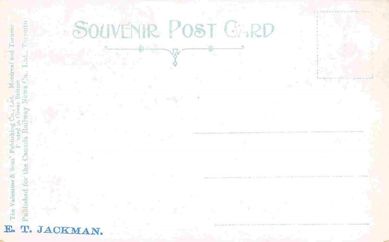 Panorama New Liskeard Temiskaming Shores Canada 1910c postcard