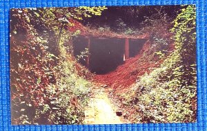 Vintage Gold Nugget Tunnel Sight of the first Gold Rush Dahlonega GA Postcard