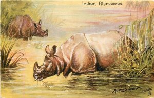 Postcard C-1910 Tuck Indian Rhinoceros Maude Scrivner Oilette 23-11131