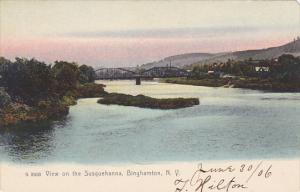 View Of The Susquuehanna River Binghamton New York Rotograph