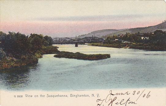 View Of The Susquuehanna River Binghamton New York Rotograph