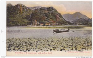 KESWICK, England, 1900-1910´s; Waterlilies On Derwentwater, With Lodore Hotel