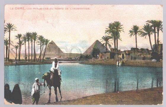 099028 EGYPT Caire les Pyramides CAMEL Vintage colorful PC