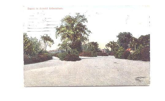 Arnold Arboretum, Chicago Illinois, Used 1910