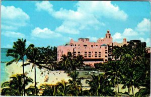 Postcard BEACH SCENE Honolulu - Waikiki Hawaii HI AN8399