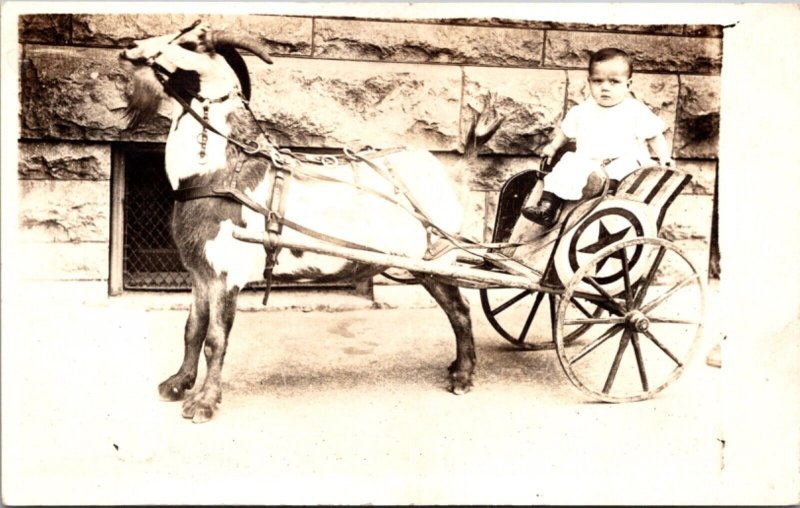 Real Photo Postcard Baby Sitting in a Goat Pulled Cart