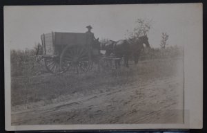 Horse and Buggy in a field - RPPC Azo - Early