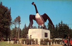 Canada - Ontario, Wawa. The Famous Goose