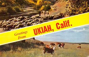 Ukiah California Sheep Cow Multiview Greeting Vintage Postcard K93457