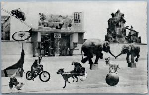 VINTAGE JAPANESE COLLAGE REAL PHOTO POSTCARD RPPC CIRCUS ANIMALS BICYCLE