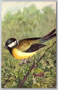 Animals~Painting Of Yellow Bird By Fred Sauter~Printed In Switzerland~Postcard