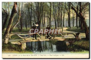 Old Postcard Lyon Park of the Golden Head On Wood Bridge Rustigue