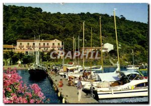 Modern Postcard La Cote D & # 39Azur Var Ile De Port Cros L & # 39Embarcadere...