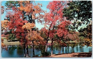 Brilliant fall colors along a pretty blue stream - Greetings From Akeley, MN