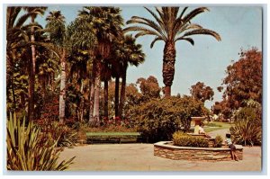 1969 Lake Park Plaza Pine Tree Plants Bench Huntington Beach California Postcard