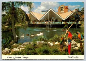 Lagoon, Hospitality House, Busch Gardens, Tampa, Florida, Chrome Postcard