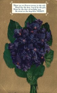 Vintage Postcard There Are No Flowers Grown in Vale Sweet as Deep Blue Violet