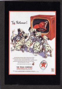 Texaco Gas Station Fire Chief Gasoline Dalmatians Dogs Ad Advertising Postcard