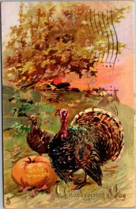 Postcard Thanksgiving Tuck 185 Turkey Good Wishes pumpkin