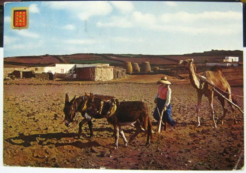 Spain Lanzarote Work of the Country - posted 1966