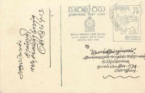 Entier Postal Stationery Postal Sri Lanka Ceylon Lion