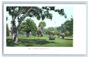 C. 1900 City Park In Oakland California Vintage Postcard F52