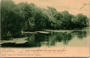 Vtg New Braunfels Texas TX Scene in Landa's Park pre-1908 Antique View Postcard