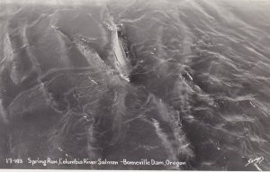 Oregon Bonneville Dam Columbia River Salmon Spring Run Real Photo