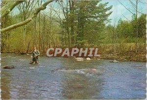 Modern Postcard Greeting from Watertown NY