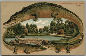 JACKSONVILLE FL RIVERSIDE PARK ALLIGATOR BORDERS ANTIQUE POSTCARD