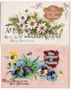 2 - Language of Flowers, Iris & Daisy