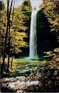 Main South Silver Creek Falls State Park Cascade Oregon OR Postcard UNP VTG