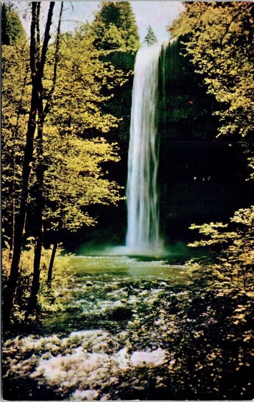 Main South Silver Creek Falls State Park Cascade Oregon OR Postcard UNP VTG