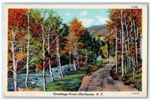 1945 Greetings From Sherburne River Lake Grove Dirt Road New York NY Postcard 