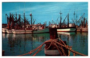 Postcard BOAT SCENE Shrimp Fleet Florida FL AU2389