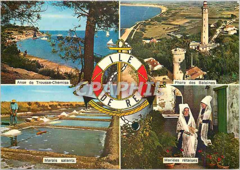Modern Postcard Ile de Re Ch Ms. Anse Kit Whale Lighthouse Shirt Saltmarsh ma...