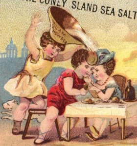 1880s H.K. & F.B. Thurber Coney Island Sea Salt & MacLaury's Stick Candy F142
