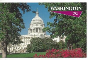 The Capitol, Washington, D. C. Vintage Postcard